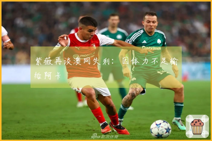 紫薇再谈澳网失利：因体力不足输给阿卡