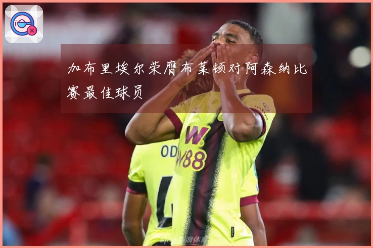 加布里埃尔荣膺布莱顿对阿森纳比赛最佳球员